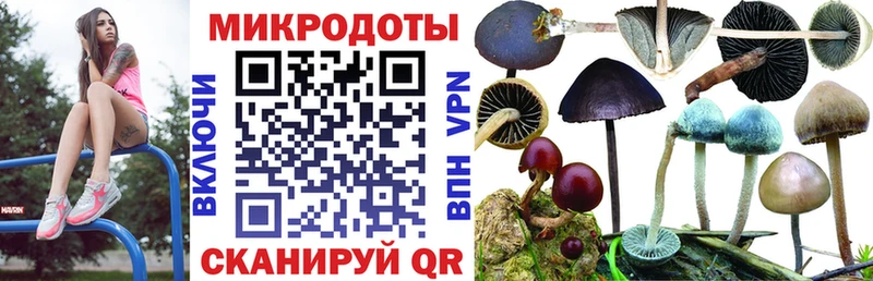 сколько стоит  Невьянск  Галлюциногенные грибы Magic Shrooms 